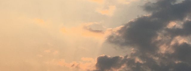 白紙さんの壁紙画像