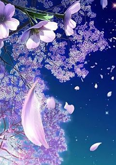 桜の花が咲く頃に。