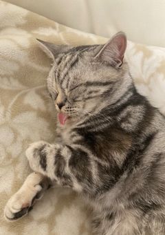 みんなの愛語りをへっだーに！！！