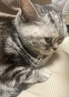 青藍の雑談部屋☆