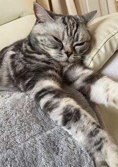 お気に入り3000！！！