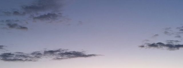 プリ小説の名▶︎つきみさんの壁紙画像