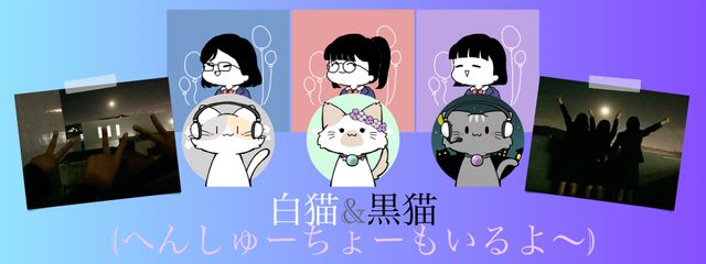 白猫&黒猫※🐢投稿さんの壁紙画像