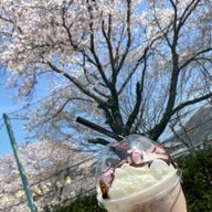 コハル🌸🕊さんのアイコン画像