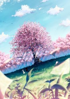 桜が咲くあの学校の屋上で