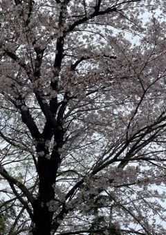 神様なんて居ないと叫んだ、あの日