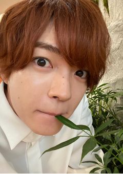 西畑大吾は大家族の大黒柱でした