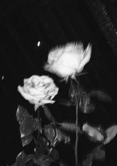 これが僕の愛し方