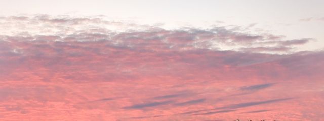 うっさ🐰さんの壁紙画像