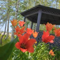 うっさ🐰さんのアイコン画像