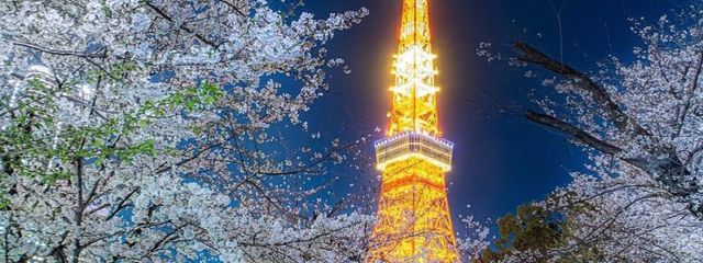 3☆☆☆9さんの壁紙画像