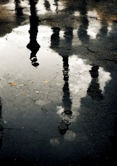 毒をも飲み込むそれは何？