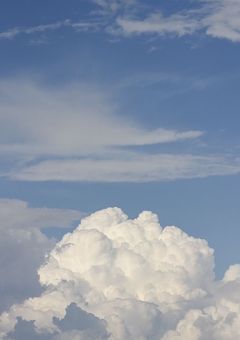 田中家と髙地家の話
