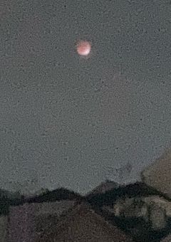 無 能 の 俺 が マ フ ィ ア と か …