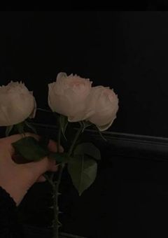 だ か ら 、 俺 は 君 に 依 存 す る 。