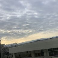 ココナッツさんのアイコン画像