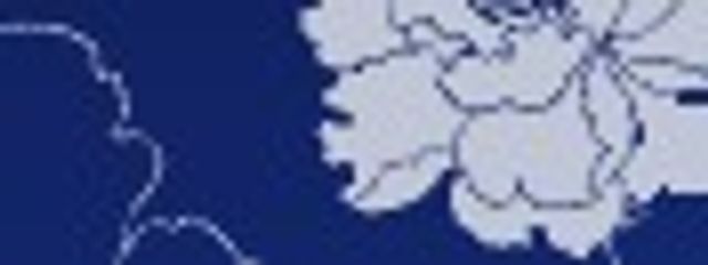 ︎🌟きらねこ🐱︎さんの壁紙画像