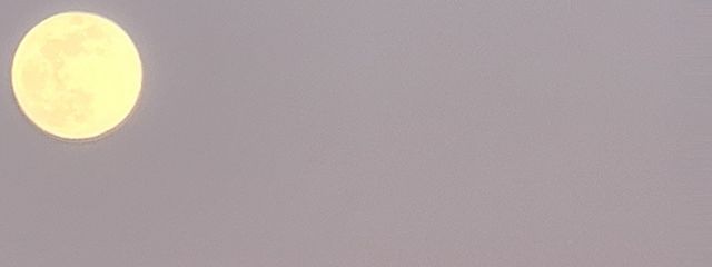 天宮 奏さんの壁紙画像