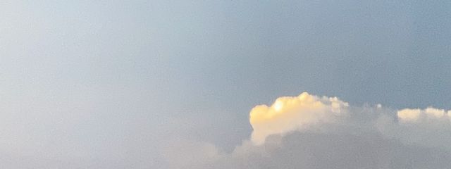 みやもん💚さんの壁紙画像