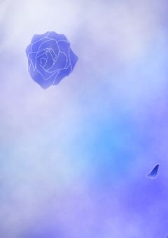 完璧な君と不出来な私
