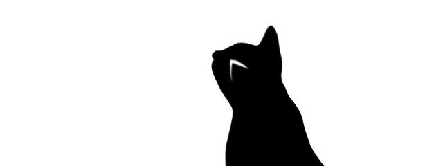 ʚ猫羽ɞさんの壁紙画像