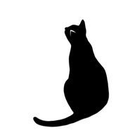 ʚ猫羽ɞさんのアイコン画像