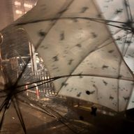 すぃの 🎋さんのアイコン画像