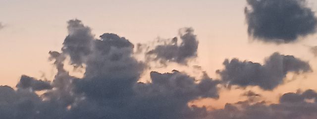 mさんの壁紙画像