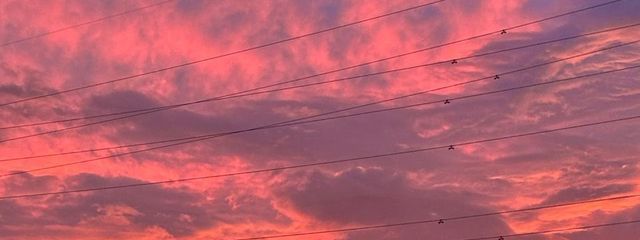 ぽめさんの壁紙画像