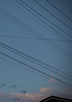 　✦　ひと夏　…　🎐　