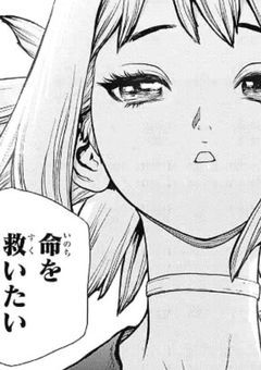 【Dr.STONE】七海学園高等学部 , 波乱の予感につき.