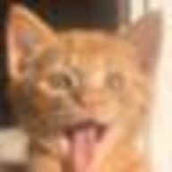 大胸筋カーニバルさんのアイコン画像