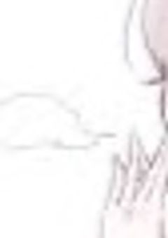 現実の委員会について