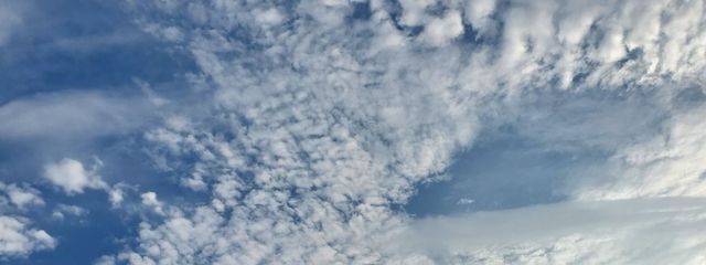 のんのん(ファンマ自己紹介文に移動)フォロセ済みさんの壁紙画像