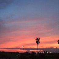 M・ARISU🐍🍏🖤さんのアイコン画像