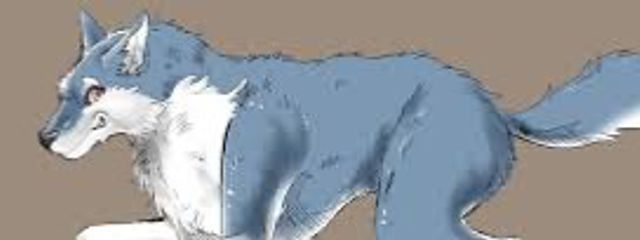 ライメさんの壁紙画像