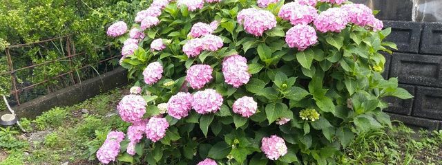 マカロン‪🫶🏻️︎💕さんの壁紙画像