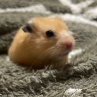 まやさんのアイコン画像