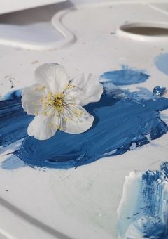 　#　やりたい事 , しよ ?