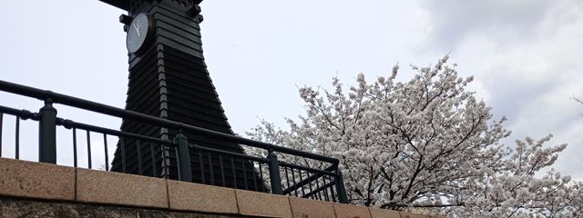 ほうしさんの壁紙画像