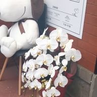 優菜さんのアイコン画像