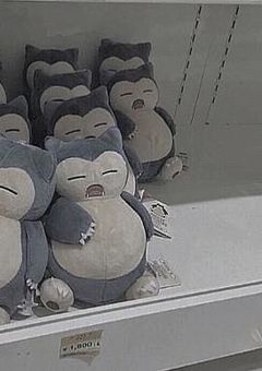 ゆめみる、おんなのこたち、