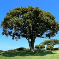 ❁❄︎𝐇𝐚𝐫𝐮𝐤𝐚❄︎❁さんのアイコン画像