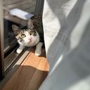(なまえ)