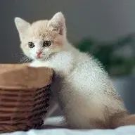 ENAさんのアイコン画像