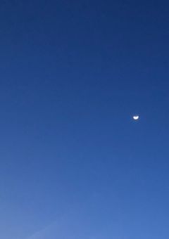 君の性奴隷になりたい。