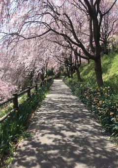 絶対に晴れるって、そう信じてる。