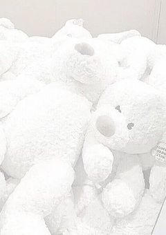 色 々 募 集 箱 ~