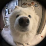 solar☁‪‎⋆*͛ ͙͛さんのアイコン画像