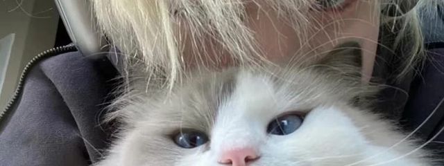 　　infpさんの壁紙画像